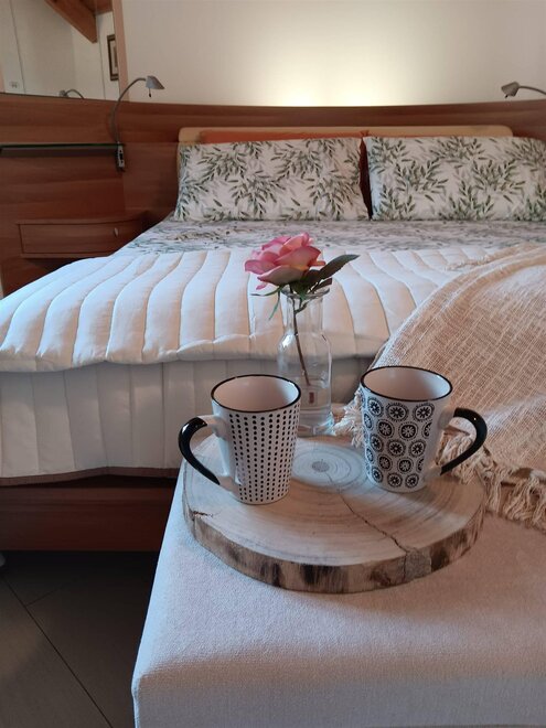 casa vacanze pet friendly trentino alto adige
