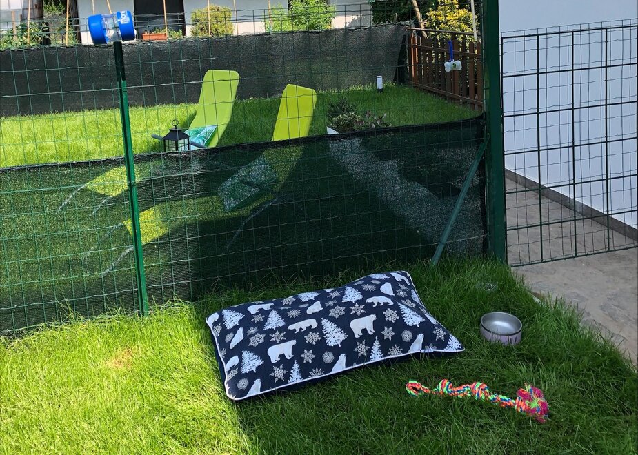 casa vacanze pet friendly trentino alto adige