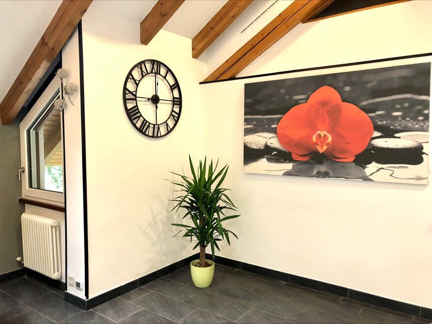 casa vacanze pet friendly trentino alto adige