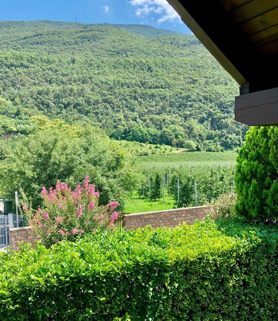 casa vacanze pet friendly trentino alto adige