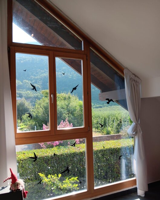 casa vacanze pet friendly trentino alto adige
