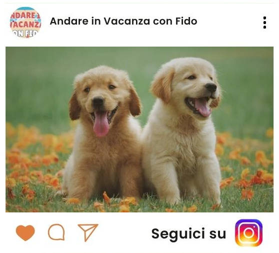 Seguici su Instagram